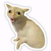 lilylife4_