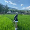 quyhhuog_209