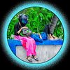 osthir.rifat4