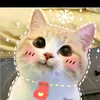 kim.nguyn7364