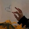 mohamedlbrahim320