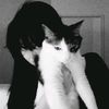 posh_sahoryx