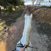 alejandra.2545