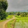 senthil.kumar177