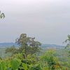 chenabila4