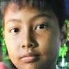 panuwitchimsaeng