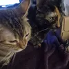 cathybouthemy5