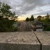 ollymonkey45
