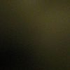 salmaalamer3