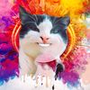 cat.21.11.s