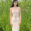 chay_ieee