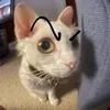sopiggy_matty