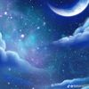 user5843792013112