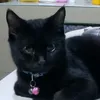 janetcanonigo0