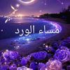 user1979441847258