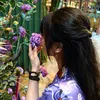 nghi.v.th