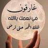 user210266795397