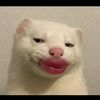 maaamuto1