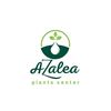 azaleaplants.az