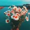 myrafinds8