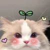 mi.fan.anh.trai.s4