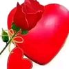 khalid.seeb