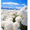 colerful.colerful