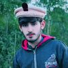 shaheen.king952