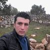 adel.arebo