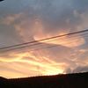 lisa.nafis4