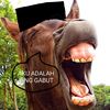 kinggabut012