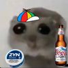 fuzzyhampter