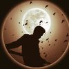 noyan9524