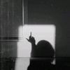 sghin_