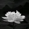t.l.vn660