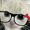 renannunezss0
