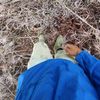 syahrilsidik_8