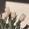 nany_1008