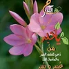 user7674162506235