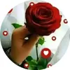 salmasaloma5634