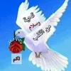 user7801940938032