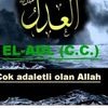 allahasevgi124