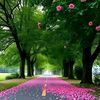 user4250001362963
