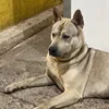 rodrigo0803152