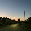 t4yl0r068