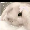 nataliaxavier433