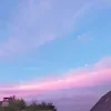 anniepaule88