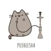 hallo.kitty510