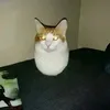 ma__eo0