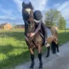 ronja_123